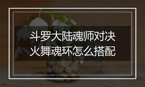 斗罗大陆魂师对决火舞魂环怎么搭配