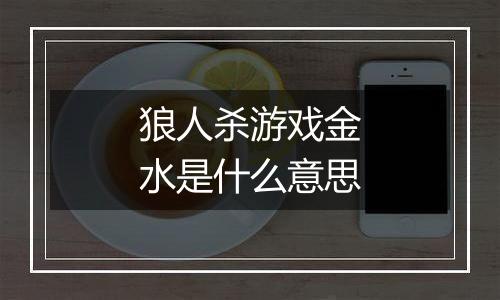 狼人杀游戏金水是什么意思