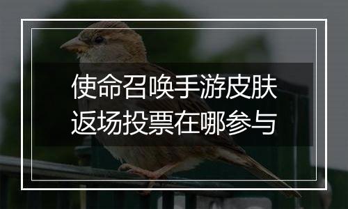 使命召唤手游皮肤返场投票在哪参与