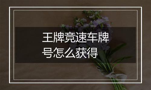 王牌竞速车牌号怎么获得