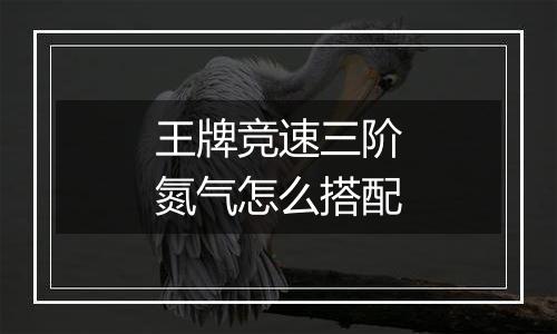 王牌竞速三阶氮气怎么搭配