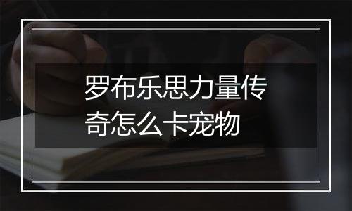 罗布乐思力量传奇怎么卡宠物