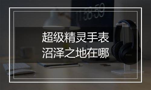 超级精灵手表沼泽之地在哪