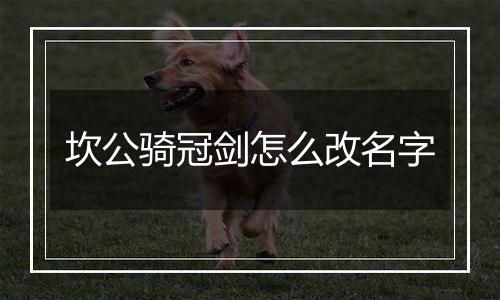 坎公骑冠剑怎么改名字