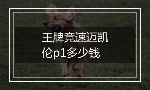 王牌竞速迈凯伦p1多少钱