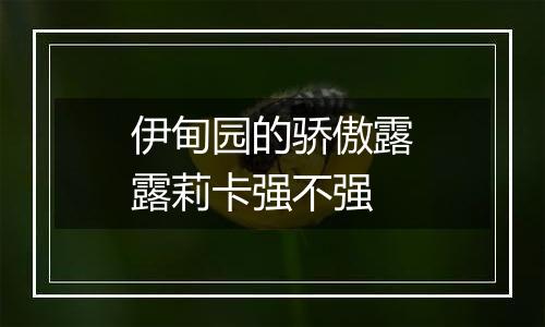 伊甸园的骄傲露露莉卡强不强