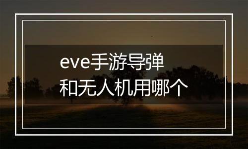 eve手游导弹和无人机用哪个