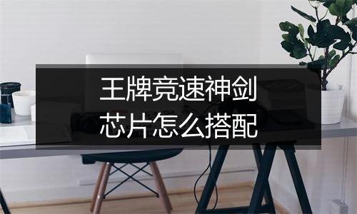 王牌竞速神剑芯片怎么搭配