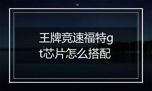 王牌竞速福特gt芯片怎么搭配