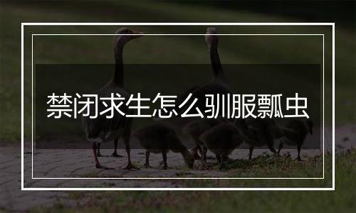 禁闭求生怎么驯服瓢虫