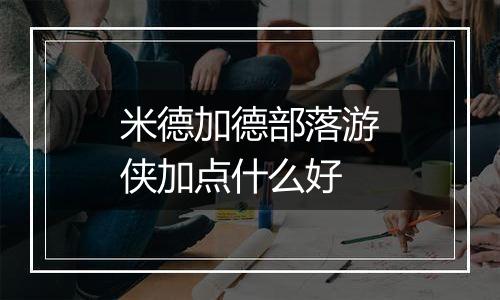 米德加德部落游侠加点什么好