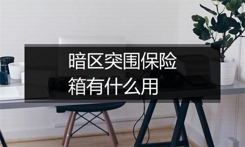 暗区突围保险箱有什么用