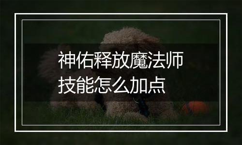 神佑释放魔法师技能怎么加点