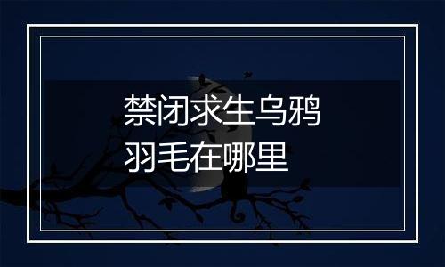 禁闭求生乌鸦羽毛在哪里