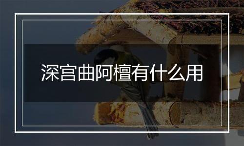 深宫曲阿檀有什么用