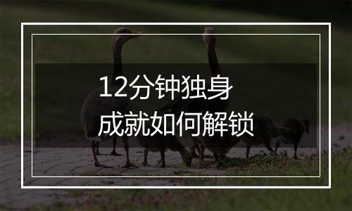 12分钟独身成就如何解锁