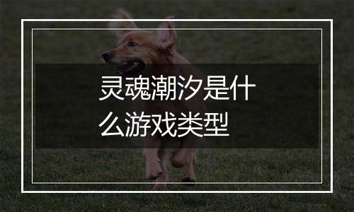 灵魂潮汐是什么游戏类型