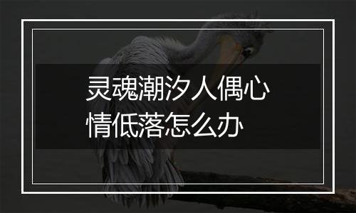 灵魂潮汐人偶心情低落怎么办