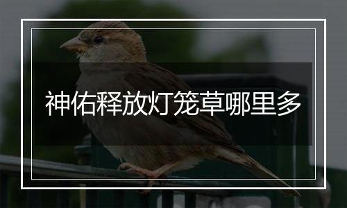 神佑释放灯笼草哪里多