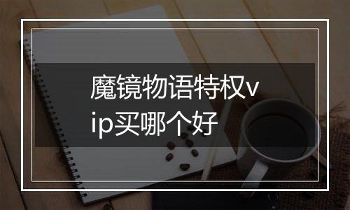 魔镜物语特权vip买哪个好