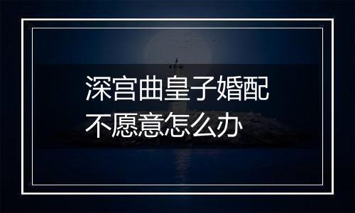 深宫曲皇子婚配不愿意怎么办