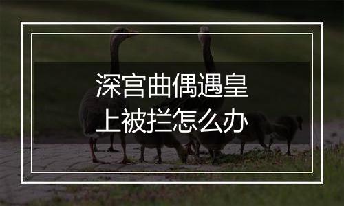 深宫曲偶遇皇上被拦怎么办