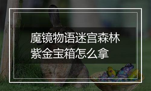 魔镜物语迷宫森林紫金宝箱怎么拿