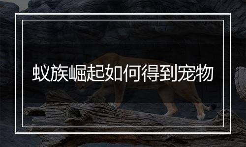 蚁族崛起如何得到宠物