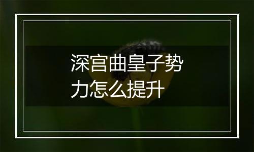 深宫曲皇子势力怎么提升