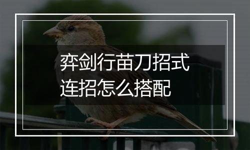 弈剑行苗刀招式连招怎么搭配