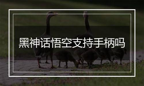 黑神话悟空支持手柄吗