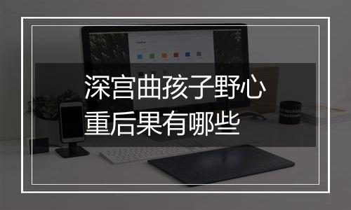 深宫曲孩子野心重后果有哪些