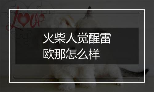 火柴人觉醒雷欧那怎么样