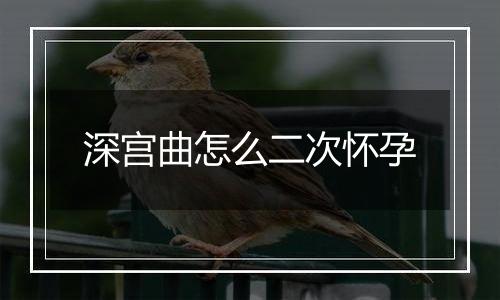 深宫曲怎么二次怀孕