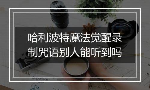 哈利波特魔法觉醒录制咒语别人能听到吗