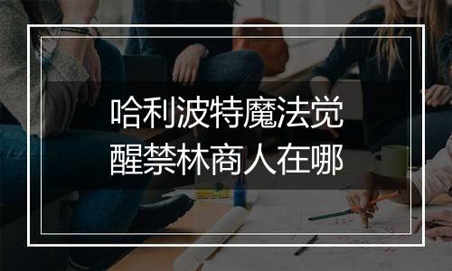 哈利波特魔法觉醒禁林商人在哪