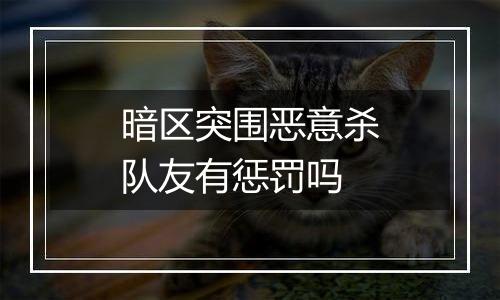 暗区突围恶意杀队友有惩罚吗