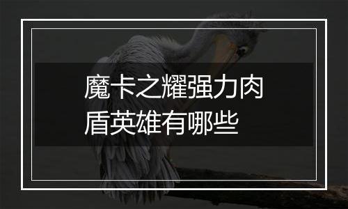 魔卡之耀强力肉盾英雄有哪些