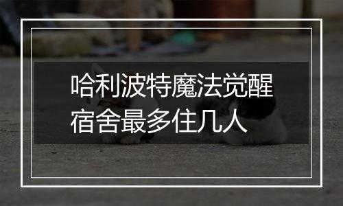 哈利波特魔法觉醒宿舍最多住几人