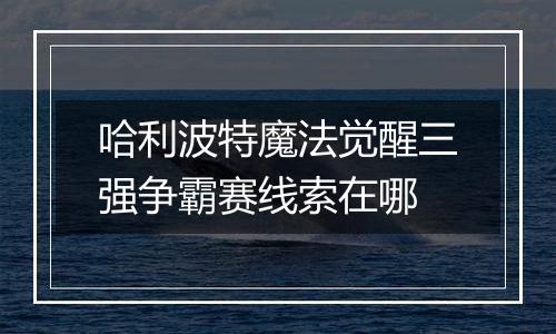 哈利波特魔法觉醒三强争霸赛线索在哪