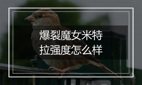 爆裂魔女米特拉强度怎么样