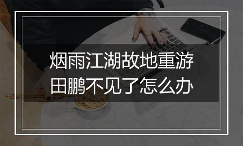 烟雨江湖故地重游田鹏不见了怎么办