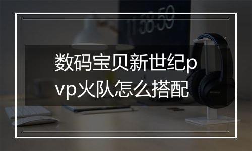 数码宝贝新世纪pvp火队怎么搭配