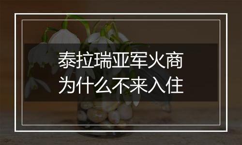 泰拉瑞亚军火商为什么不来入住