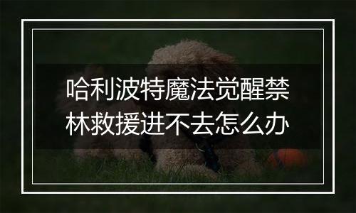 哈利波特魔法觉醒禁林救援进不去怎么办