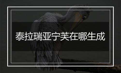 泰拉瑞亚宁芙在哪生成