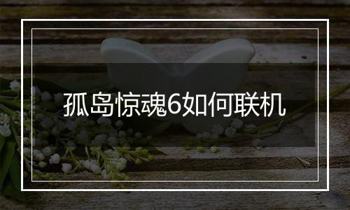 孤岛惊魂6如何联机