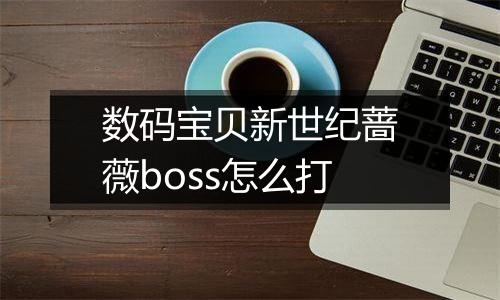 数码宝贝新世纪蔷薇boss怎么打