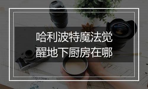 哈利波特魔法觉醒地下厨房在哪