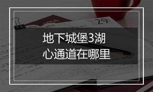地下城堡3湖心通道在哪里